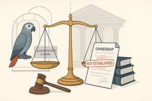 Pachos v Ntuli (2025/091634) [2025] ZAMPMBHC 114 (1 December 2025)